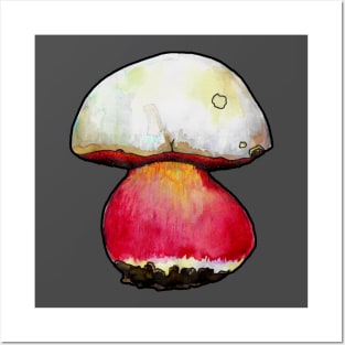 Satan's Bolete Posters and Art